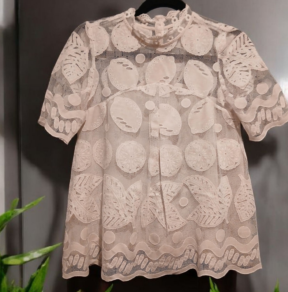 Anthropolgie HD in Paris Off White Fruit Sheer Womans Blouse Size XS 2